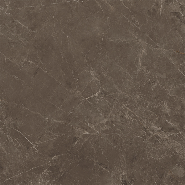 HT8Y0119-6.JPG